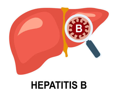 La eficacia del Tenofovir Alafenamida en el tratamiento de hepatitis B: todo lo que necesitas saber