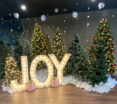 JOY pic_edited.jpg