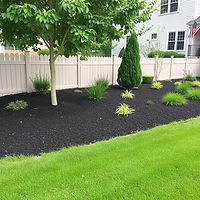 perfect mulch bed with black mulch