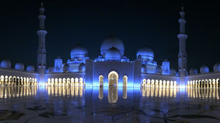 Sheikh Zayde Mosque