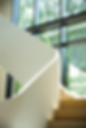 DSC08336 Large.png