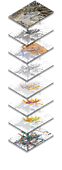 La Paz_web.png