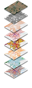 Sao Pablo_web.png