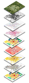 Córdoba_web.png