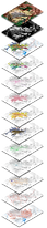 Tarija_web.jpg