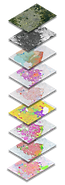 Belo Horizonte_web.png