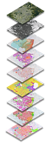 Belo Horizonte_web.png