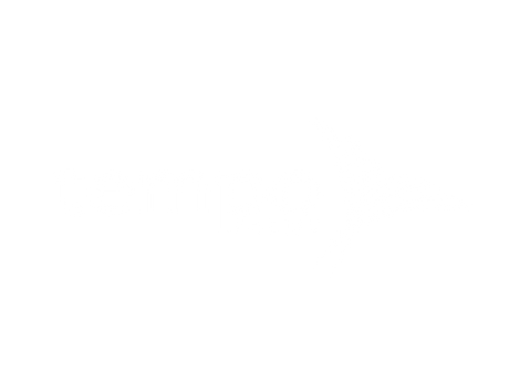 Tempo Assist