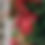 Thumbnail: Christmas Spirit Wreath