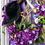 Thumbnail: Witch Halloween Wreath