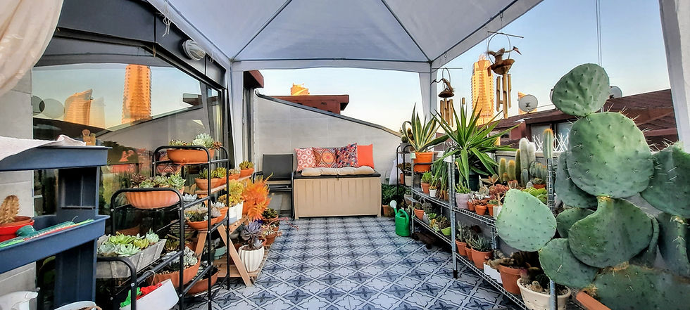desain balkon rumah nyaman untuk bersantai desain natural