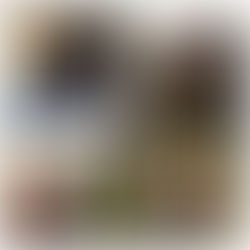 CROSS OF CHRIST MINISTRIES