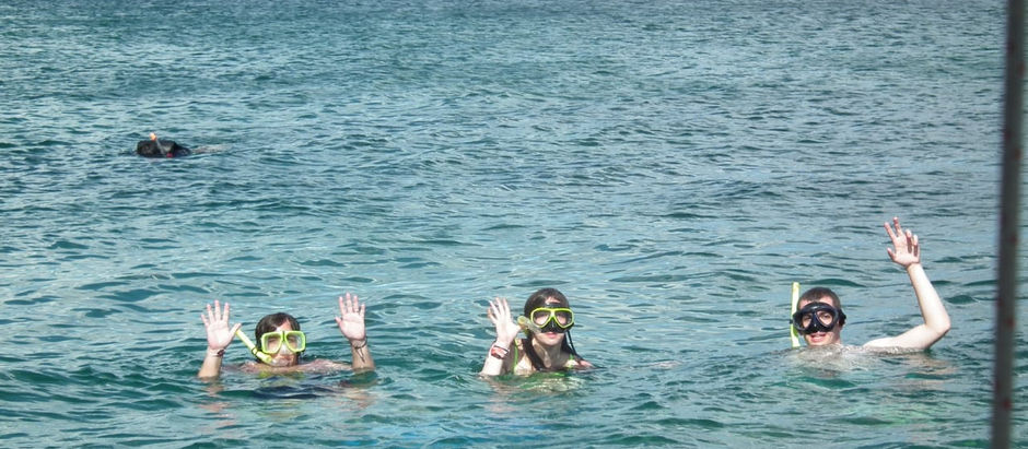 The Importance Of Deep Sea Fishing Costa Rica