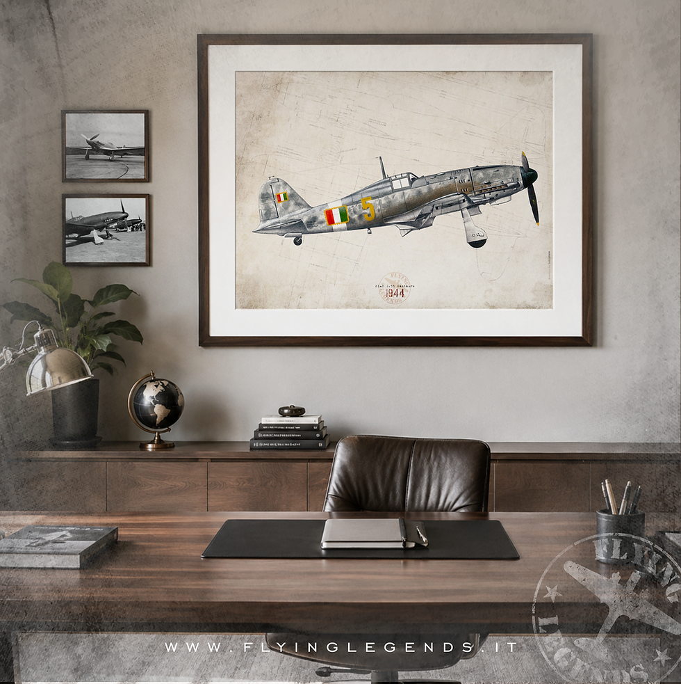 Miniatura: Stampa FIAT G.55 Centauro