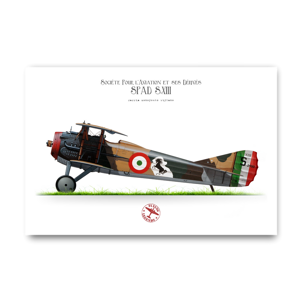 Miniatura: Felpa Francesco Baracca