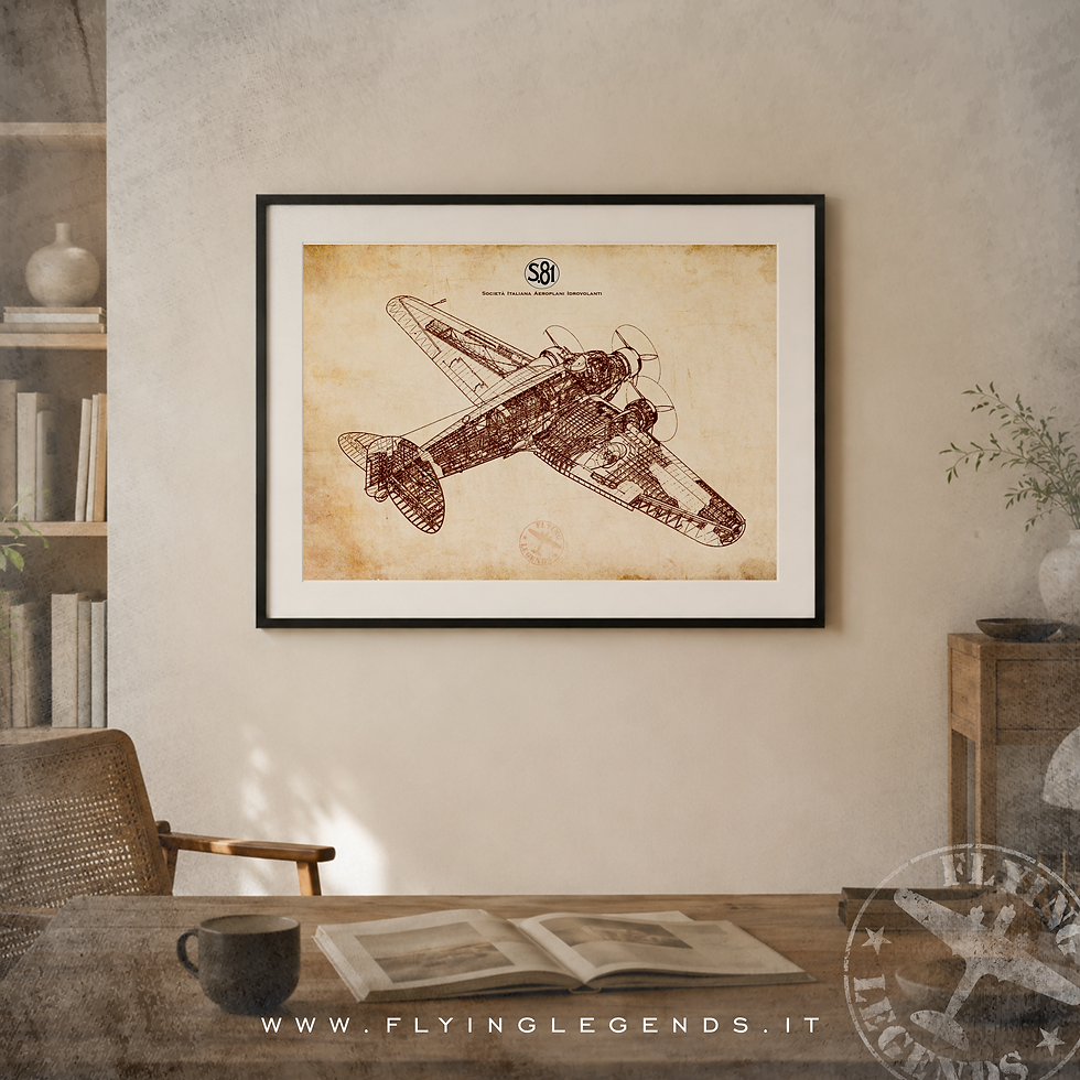 Miniatura: Stampa Savoia-Marchetti S.81 Pipistrello