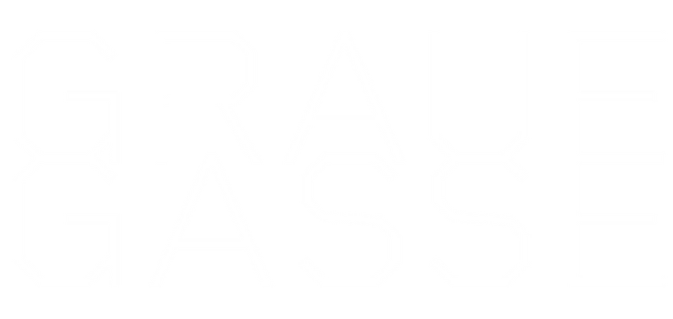 Logo_Graue Gasse_Demo.png