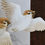 サムネイル： Set of 3 Pop-Up Birds Greeting Card - S