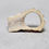 サムネイル： Ring/STAG - Nomoto Hiroshi