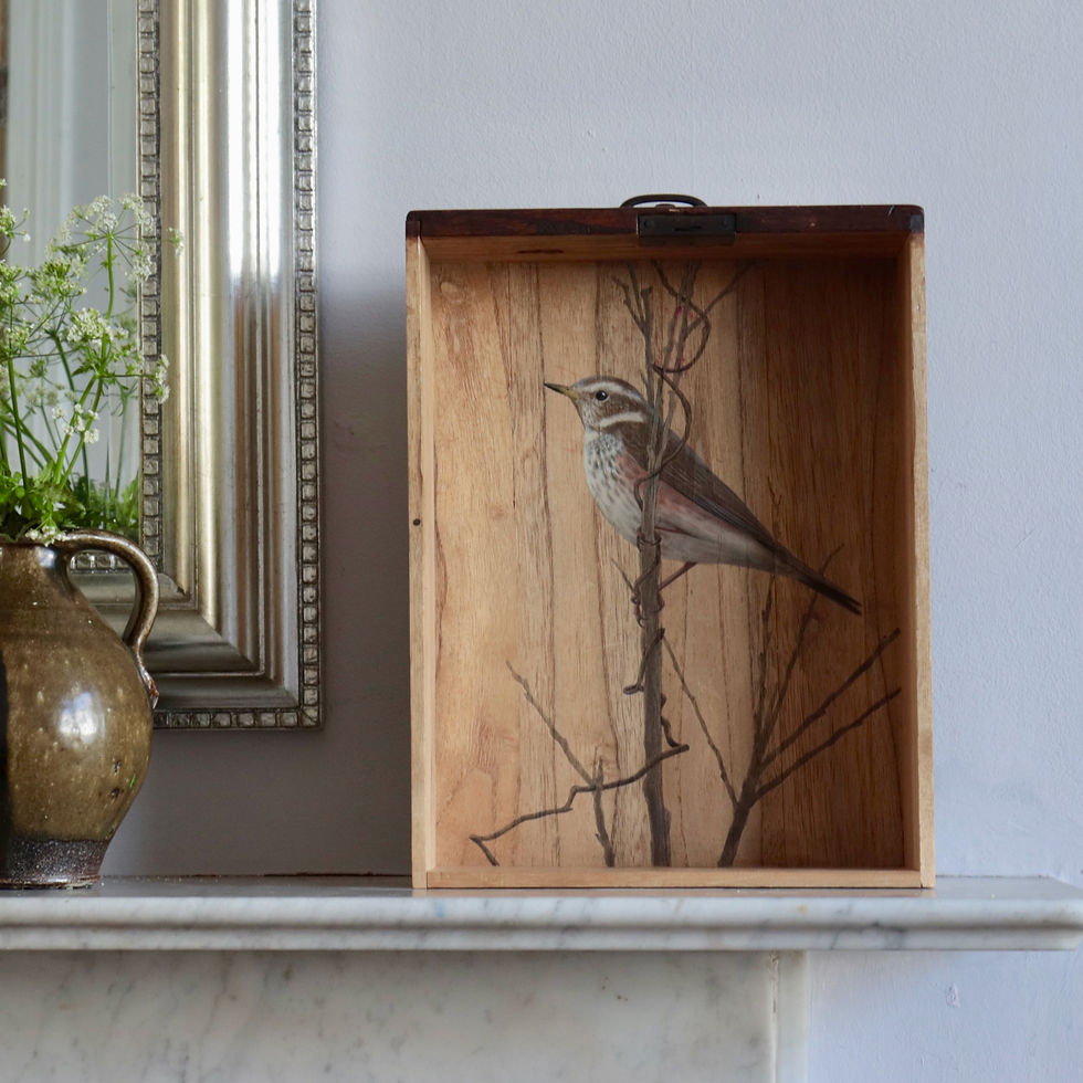 Thumbnail: Redwing /Birds In Drawers by Yukawa Atsuko