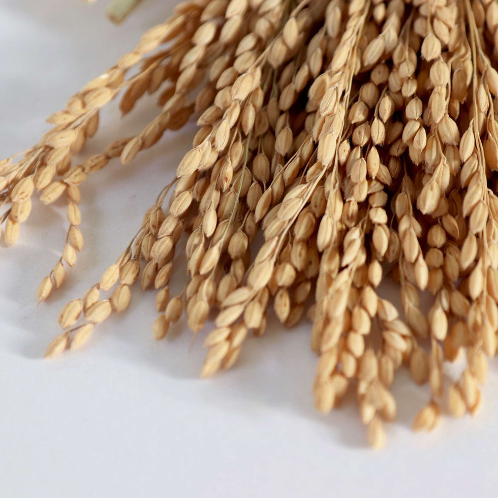 Thumbnail: Turtle Lucky Charm