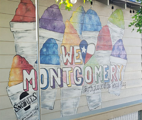 Real Estate Montgomery, Texas (Lake Conroe)