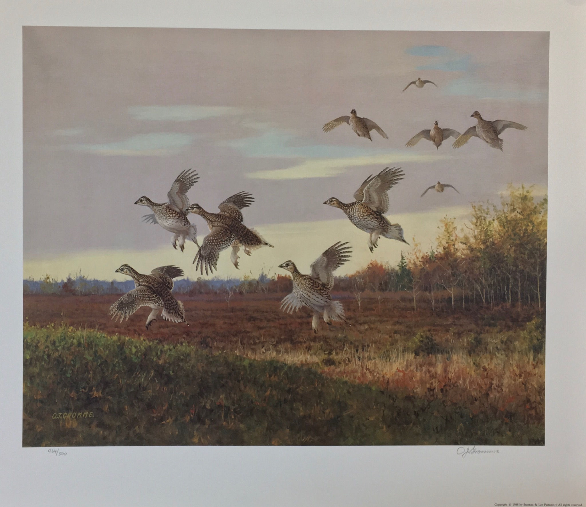 Late Day Prairie Chickens