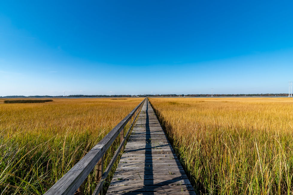 22 River Reach_e_Lowcountry_Exposure-1 (1)
