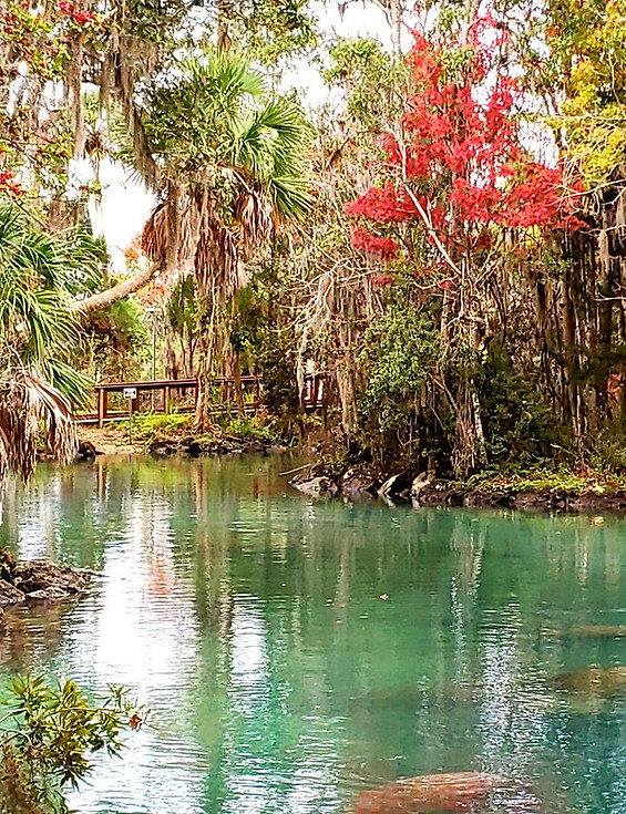 board walk three sisters springs.jpg