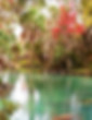 board walk three sisters springs.jpg