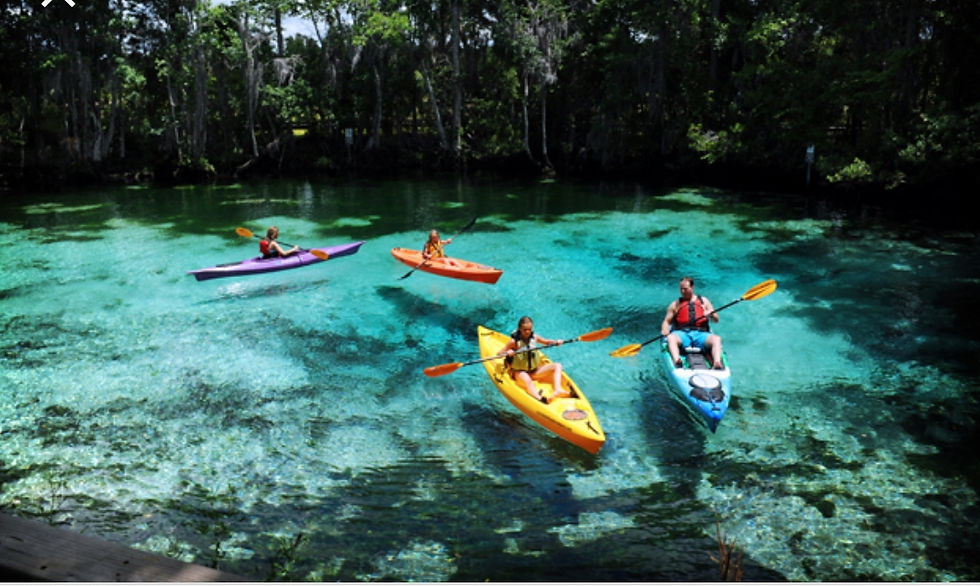 kayak.jpg
