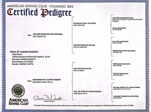 Screenshot 2024-11-18 at 18-34-12 CamScanner 11-18-2024 07.58 - CamScanner 11-18-2024 07.5