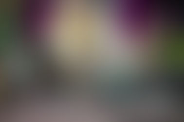 A Write Highland Hoolie 2025