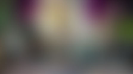 A Write Highland Hoolie 2025