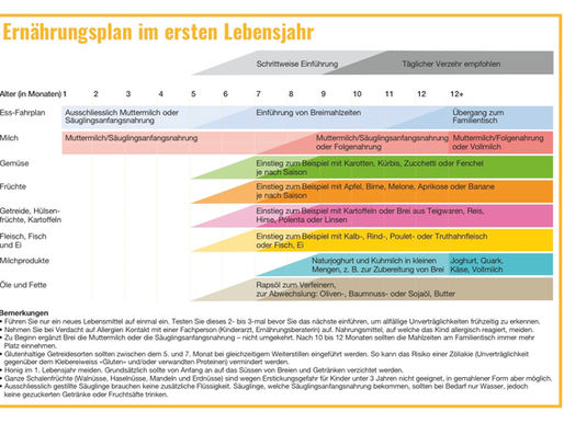 Beikost – jedes Baby is(s)t anders