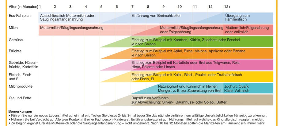 Beikost – jedes Baby is(s)t anders