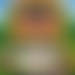 Companion Dog Show Saturday 27th June @ Feast of St Peter