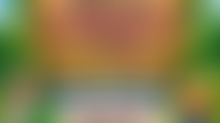 Companion Dog Show Saturday 27th June @ Feast of St Peter