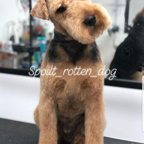 Our ethos at Spoilt Rotten is second to none!