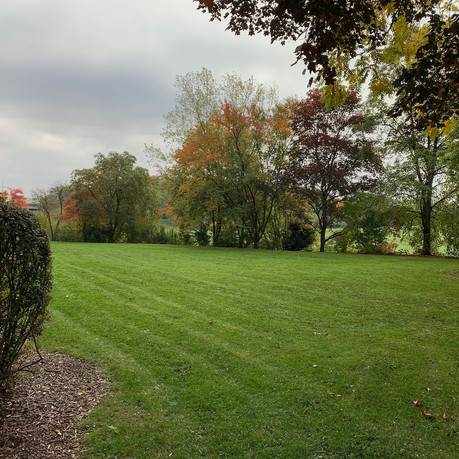 jardin arriere.jpeg