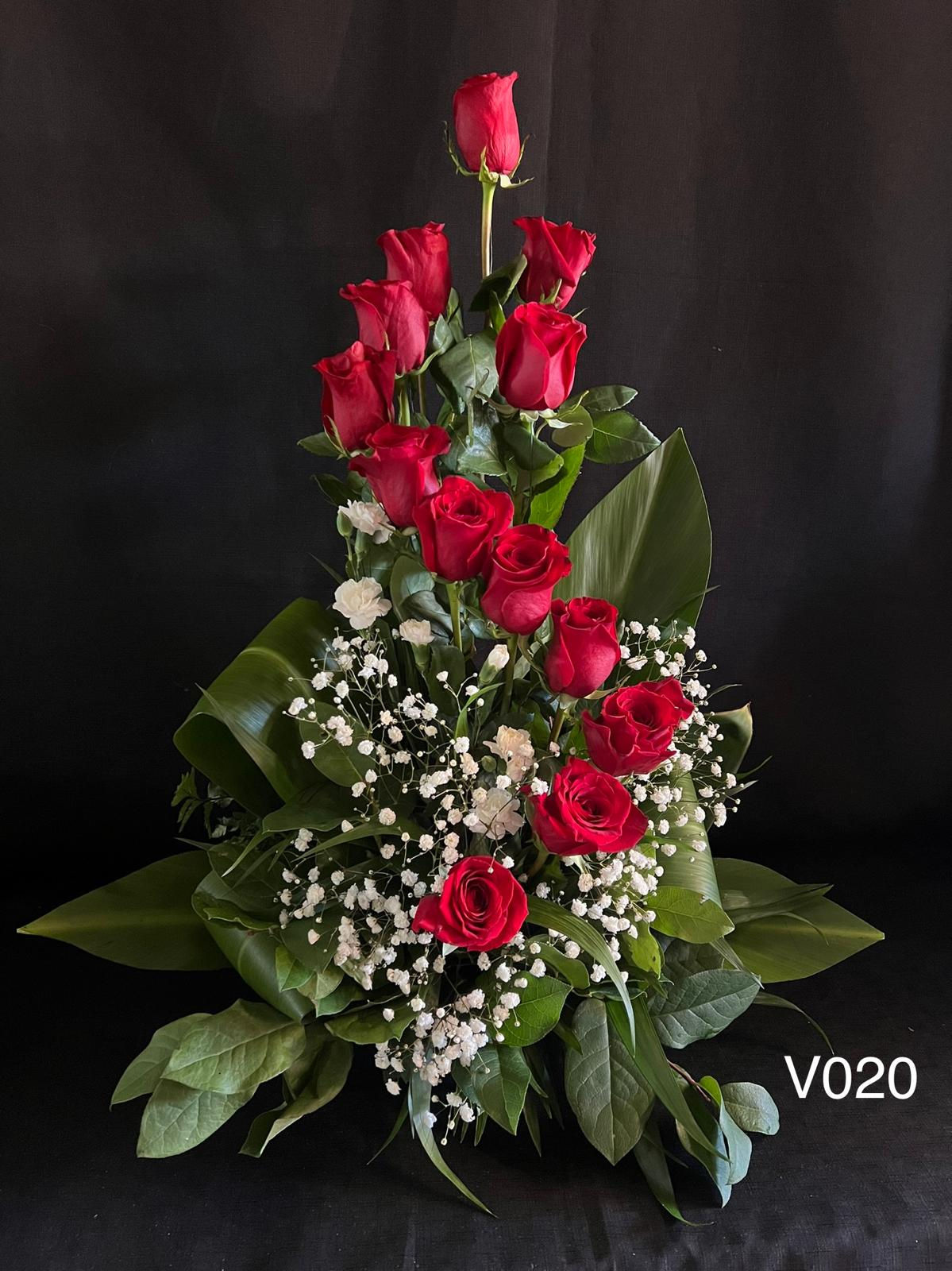 V020