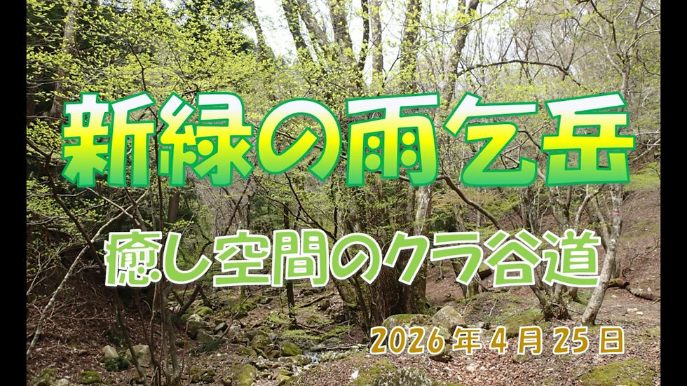新緑の雨乞岳クラ谷-サムネイル