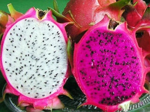 Nên ăn thanh long trắng hay thanh long đỏ?