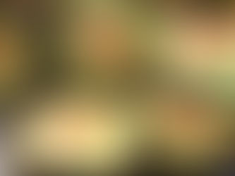 Bánh tét lọt top 100 món ăn từ đậu ngon nhất thế giới