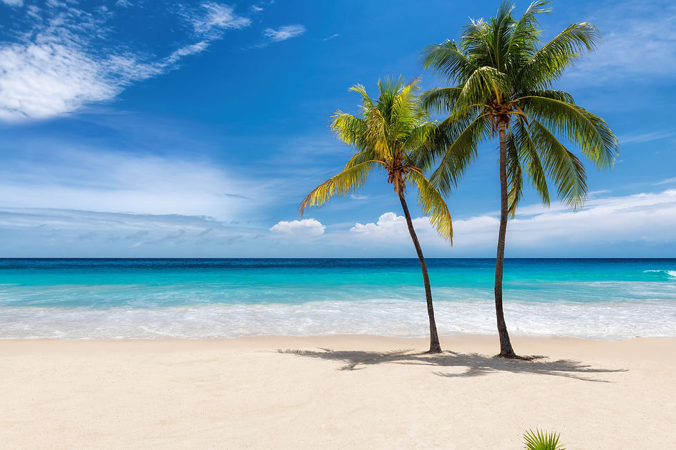 Ft Myers Florida Insurance Quote.jpeg