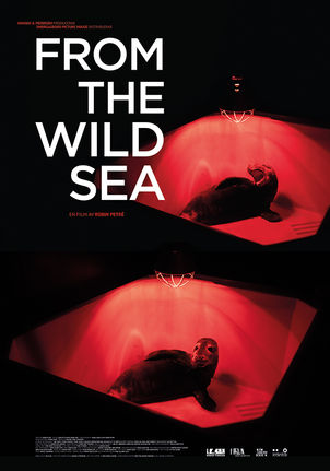 From the Wild Sea