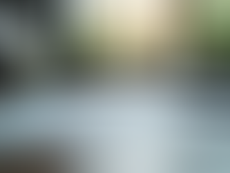 Top Benefits of Using Specialized Petition Services