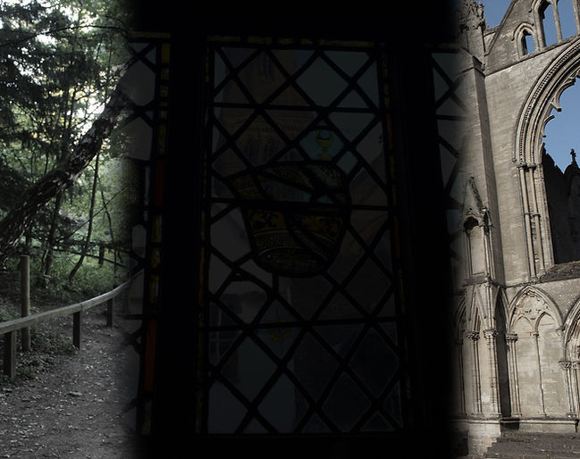 website background3.jpg