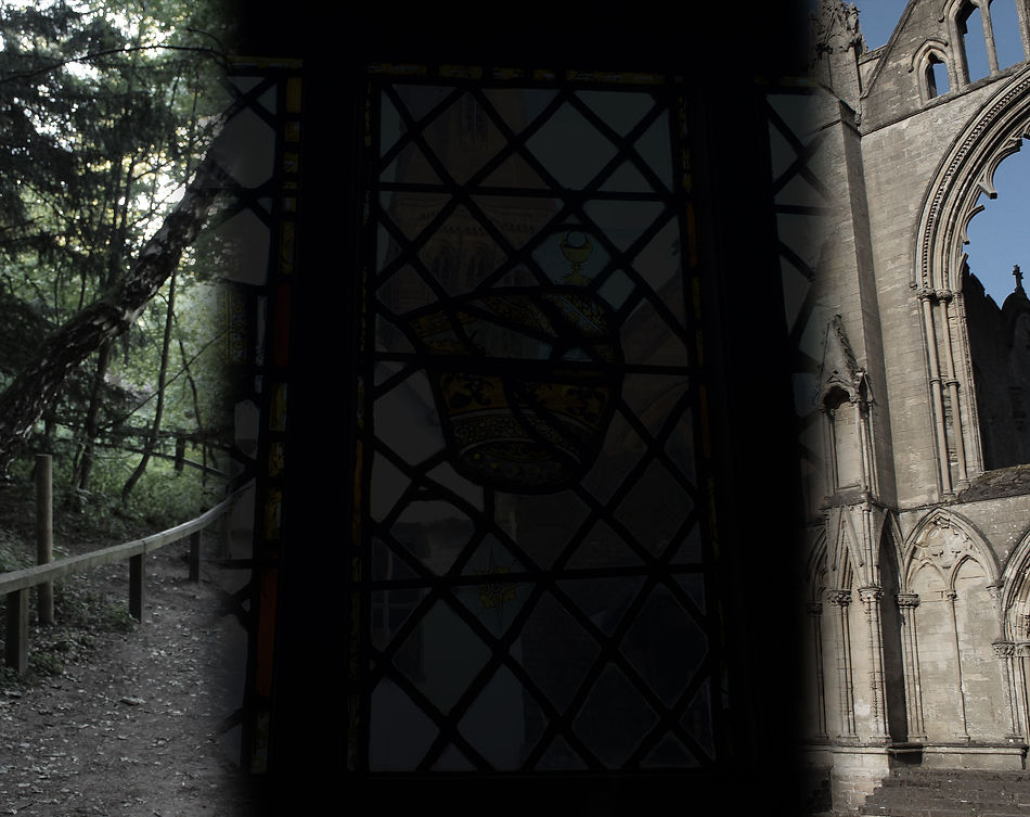 website background3.jpg