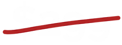 slashedPrice.png